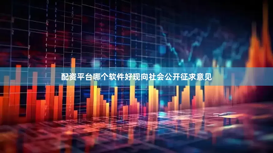 配资平台哪个软件好现向社会公开征求意见