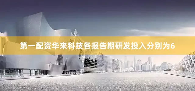 第一配资华来科技各报告期研发投入分别为6